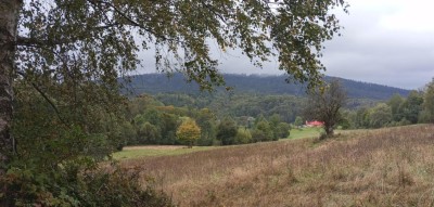 Wczesno jesienne klimaty