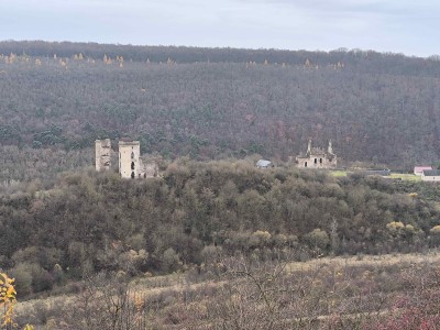 IMG_20251110_144906 (1).jpg