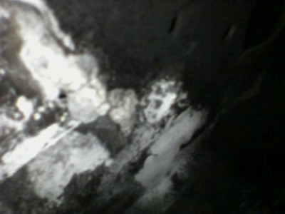 Photo_2026-03-29 19_51_07_371.JPG