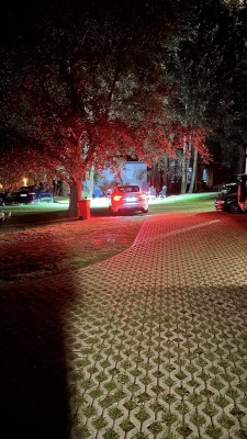 IMG_2228.jpg
