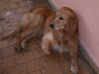 w taką pogode to kogo się na dwór nie wypędza?????