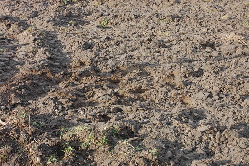 tu byłem - Yanek.jpg