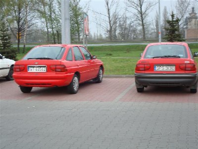 Obraz 005 (Large).jpg