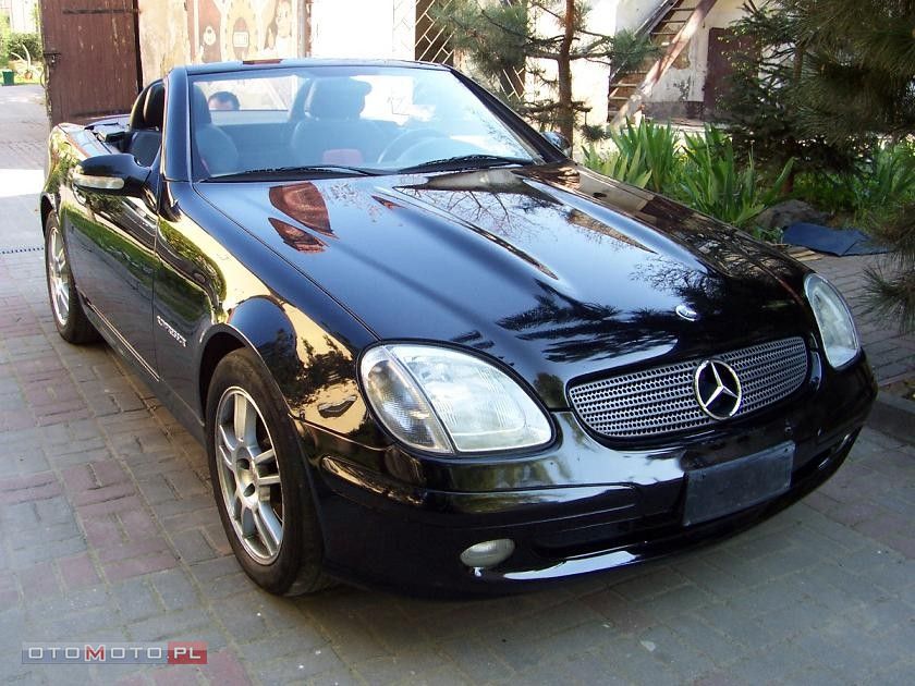 SLK.jpg