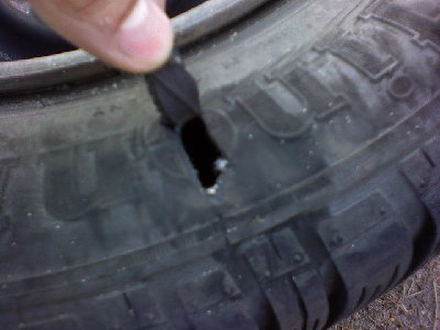 oszczędności na parkingu i parkowanie w lesie