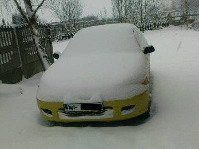 Misiek pod śniegiem...