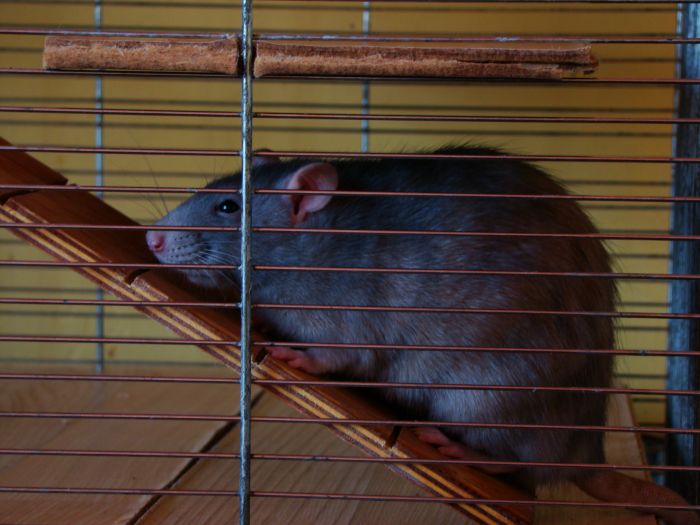 Temu właśnie Jaga tak wygląda. Jej nie idzie oderwać od miski