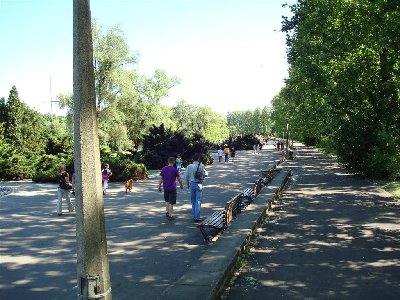 Jedna z głównych alejek w parku