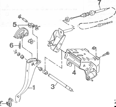 image215.jpg