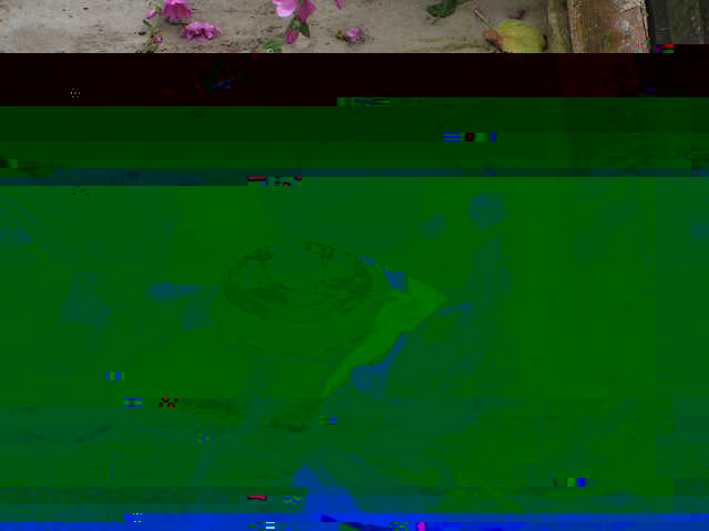 PICT0283.JPG