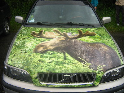 dla Darka. jego łoś to wysiada :)