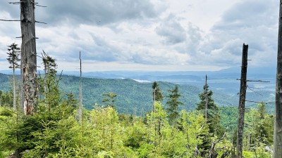 IMG_0569.JPG